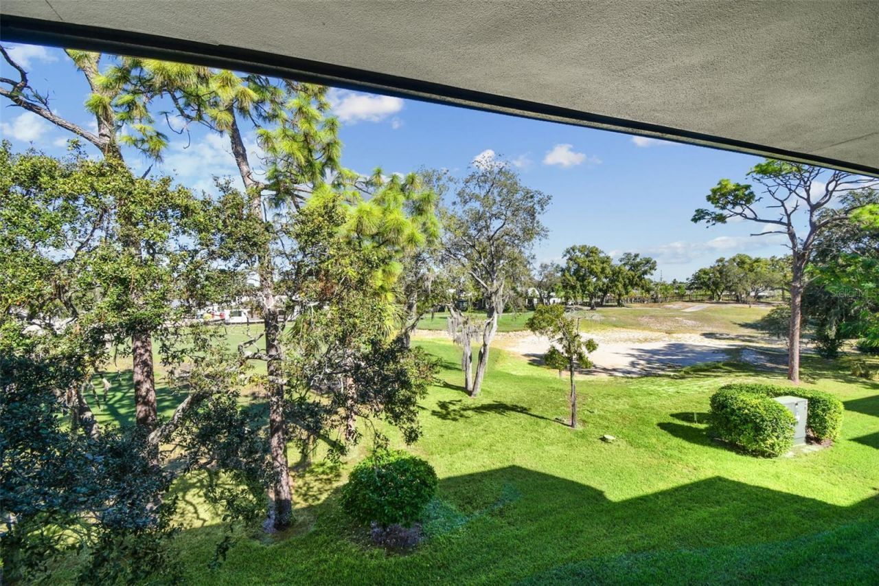 36750 Us Highway 19, Unit 26301, Palm Harbor, FL 34684 Photo