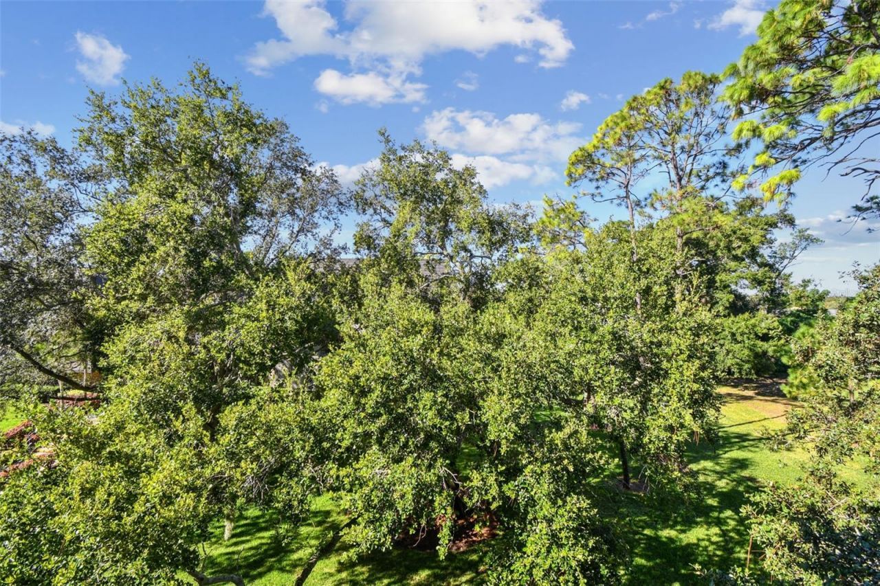 36750 Us Highway 19, Unit 26301, Palm Harbor, FL 34684 Photo