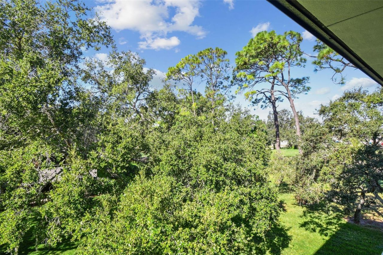 36750 Us Highway 19, Unit 26301, Palm Harbor, FL 34684 Photo