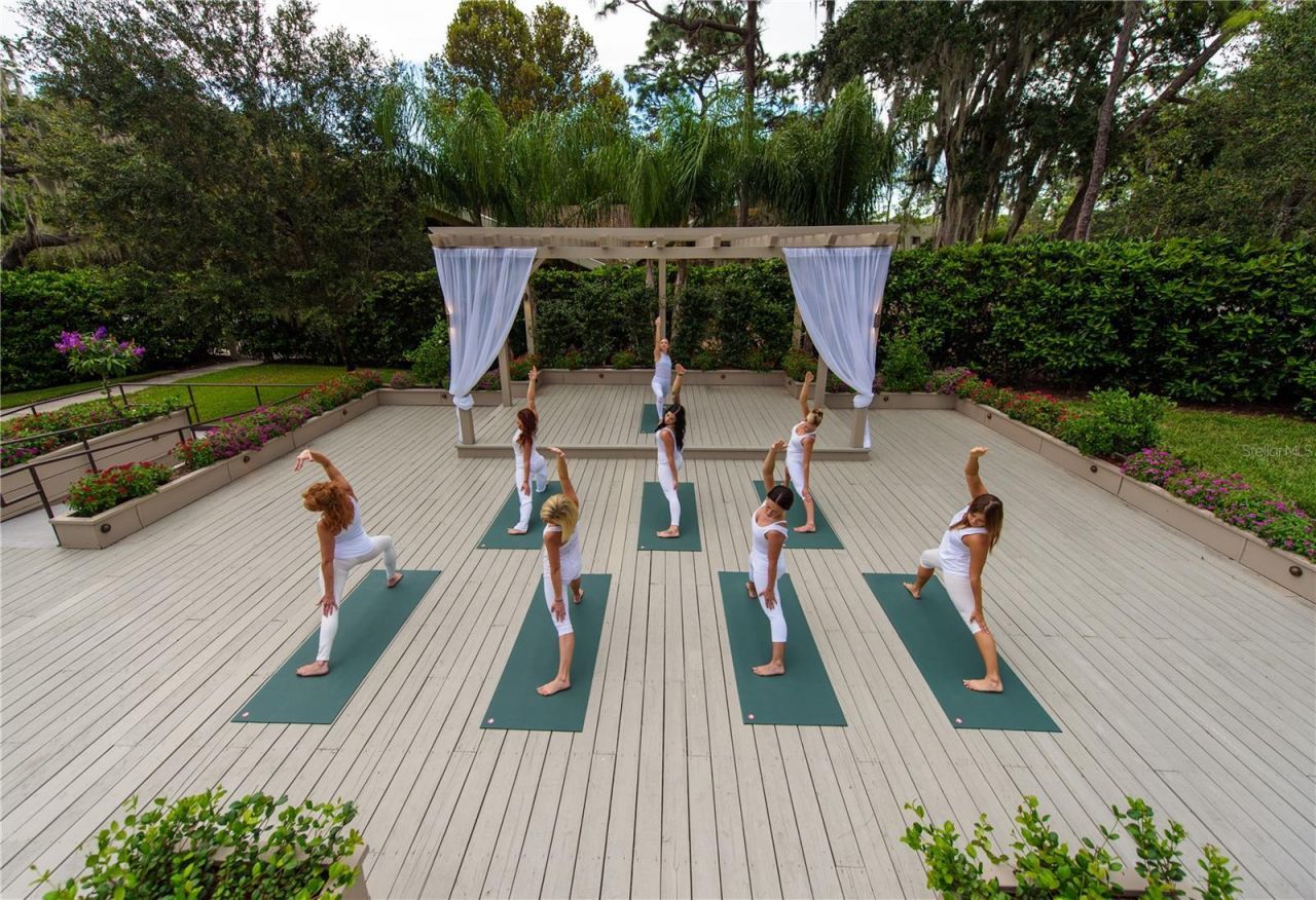 36750 Us Highway 19, Unit 26301, Palm Harbor, FL 34684 Photo