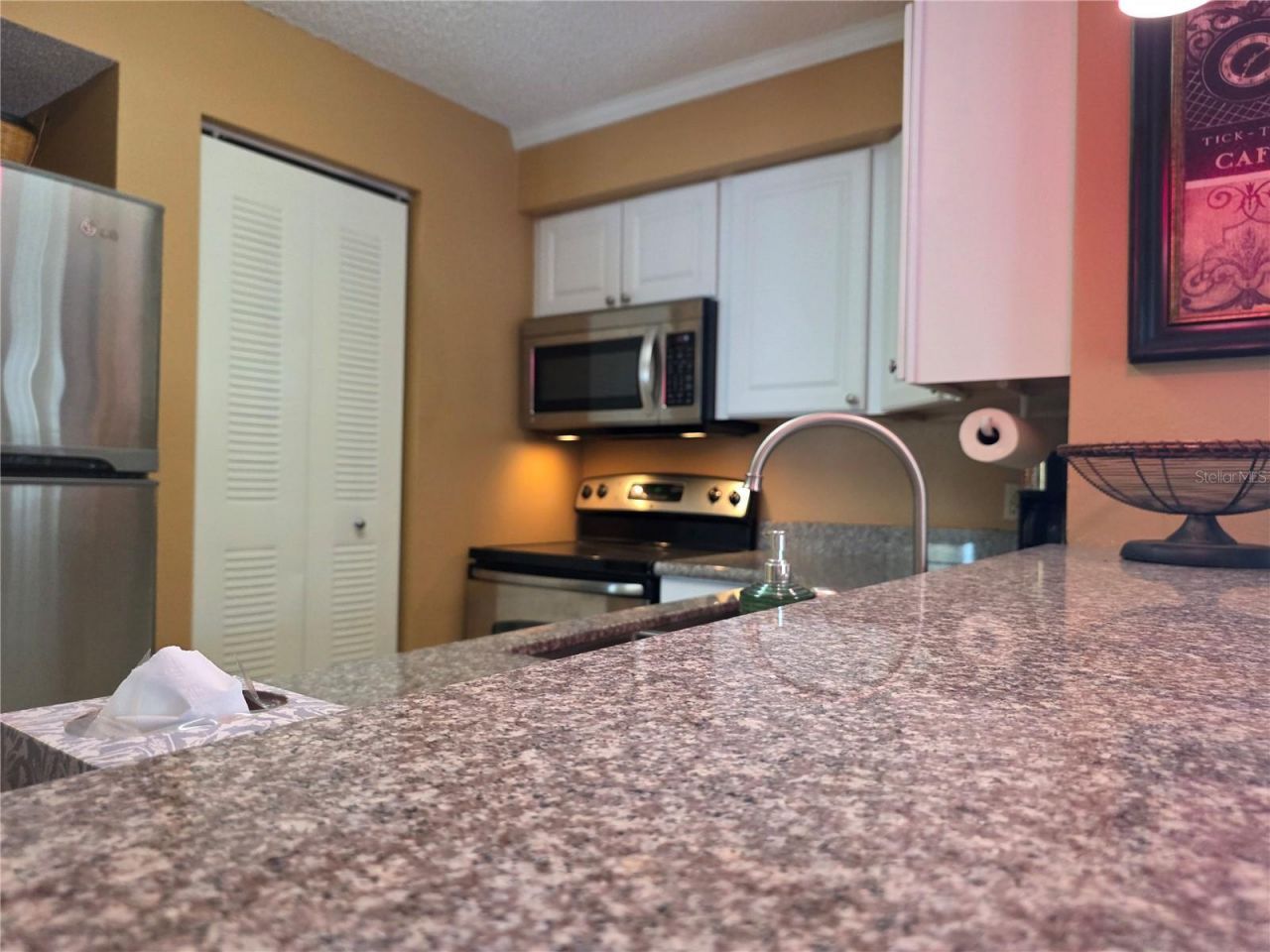 115 112th Avenue Ne, Unit 1028, Saint Petersburg, FL 33716 Photo