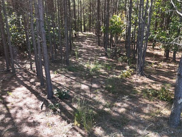 111 Hillbrook Dr, Unit 77, Hohenwald, TN 38462