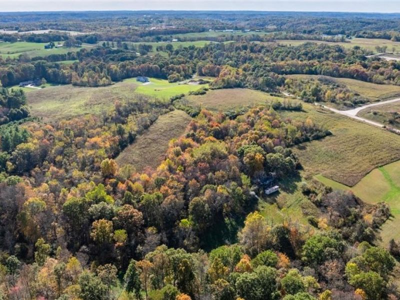 Wintergreen Road, Lore City, OH 43755 Photo 3