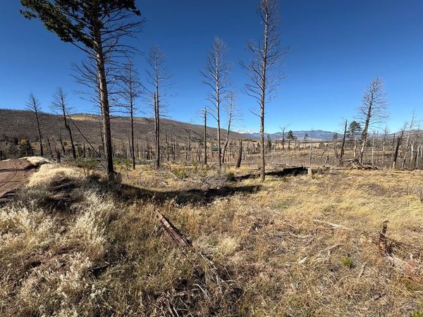 1069 Reed Ln, Fort Garland, CO 81133