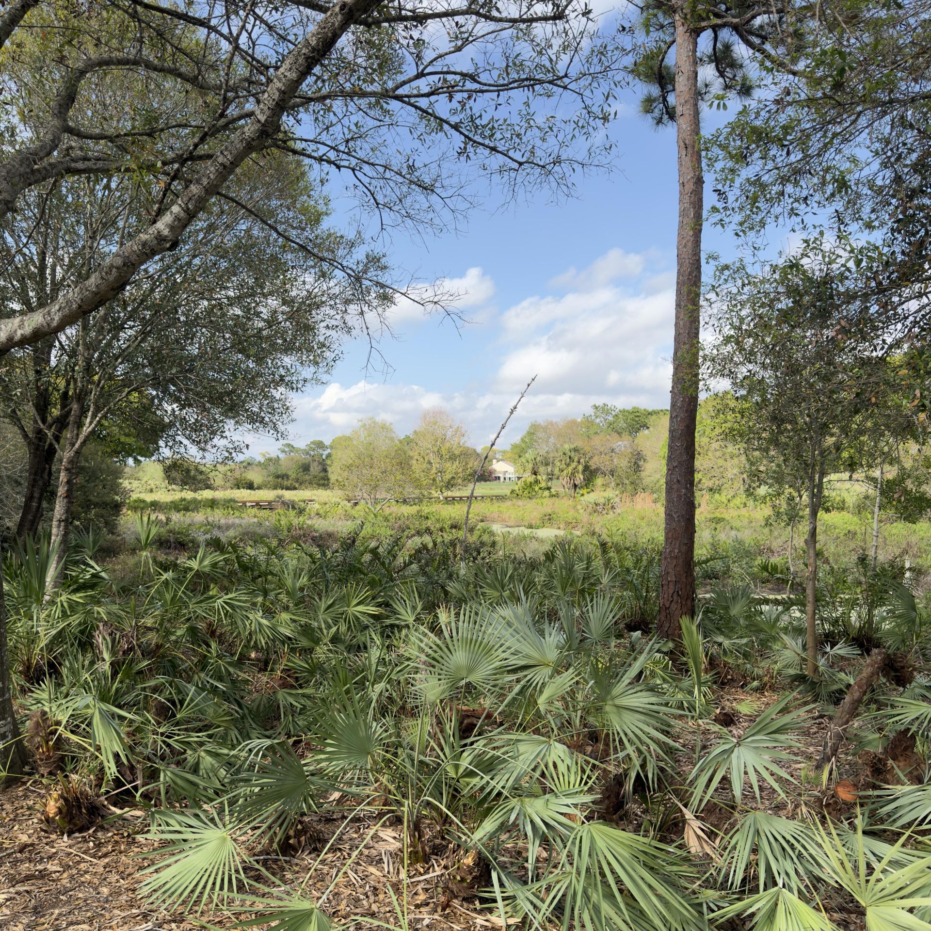 1828 NW Buttonbush Circle, Palm City, FL 34990 Photo