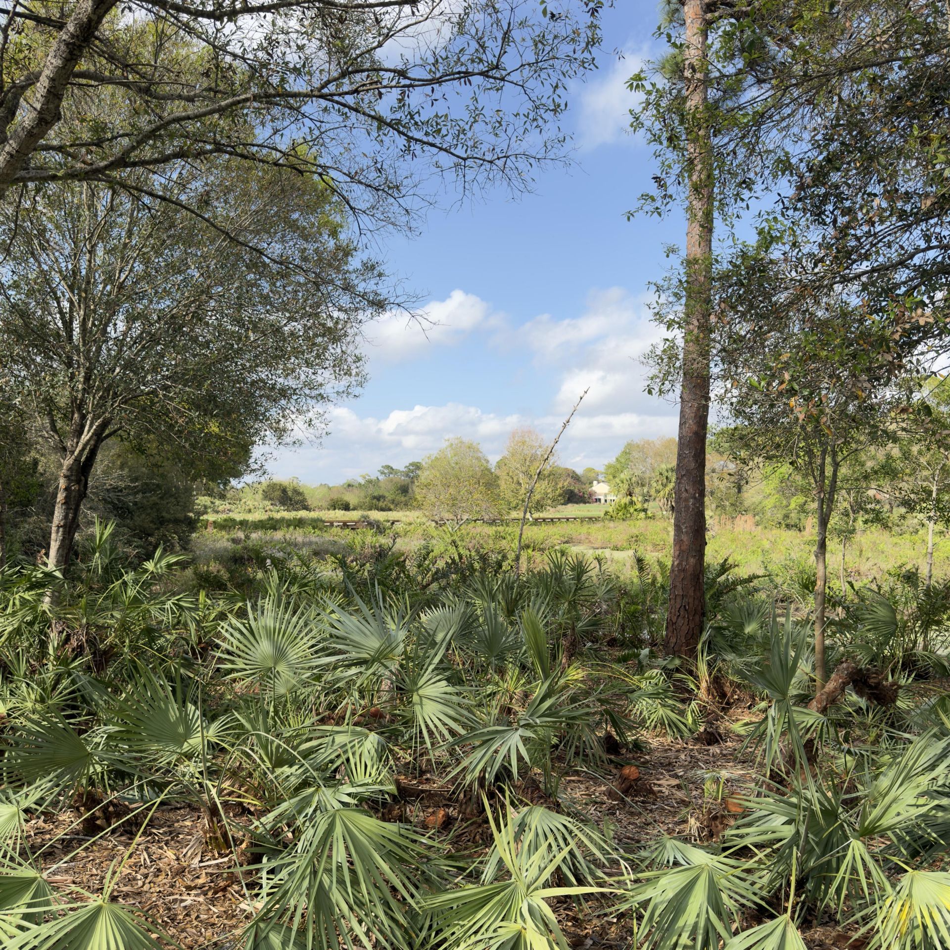 1828 NW Buttonbush Circle, Palm City, FL 34990 Photo