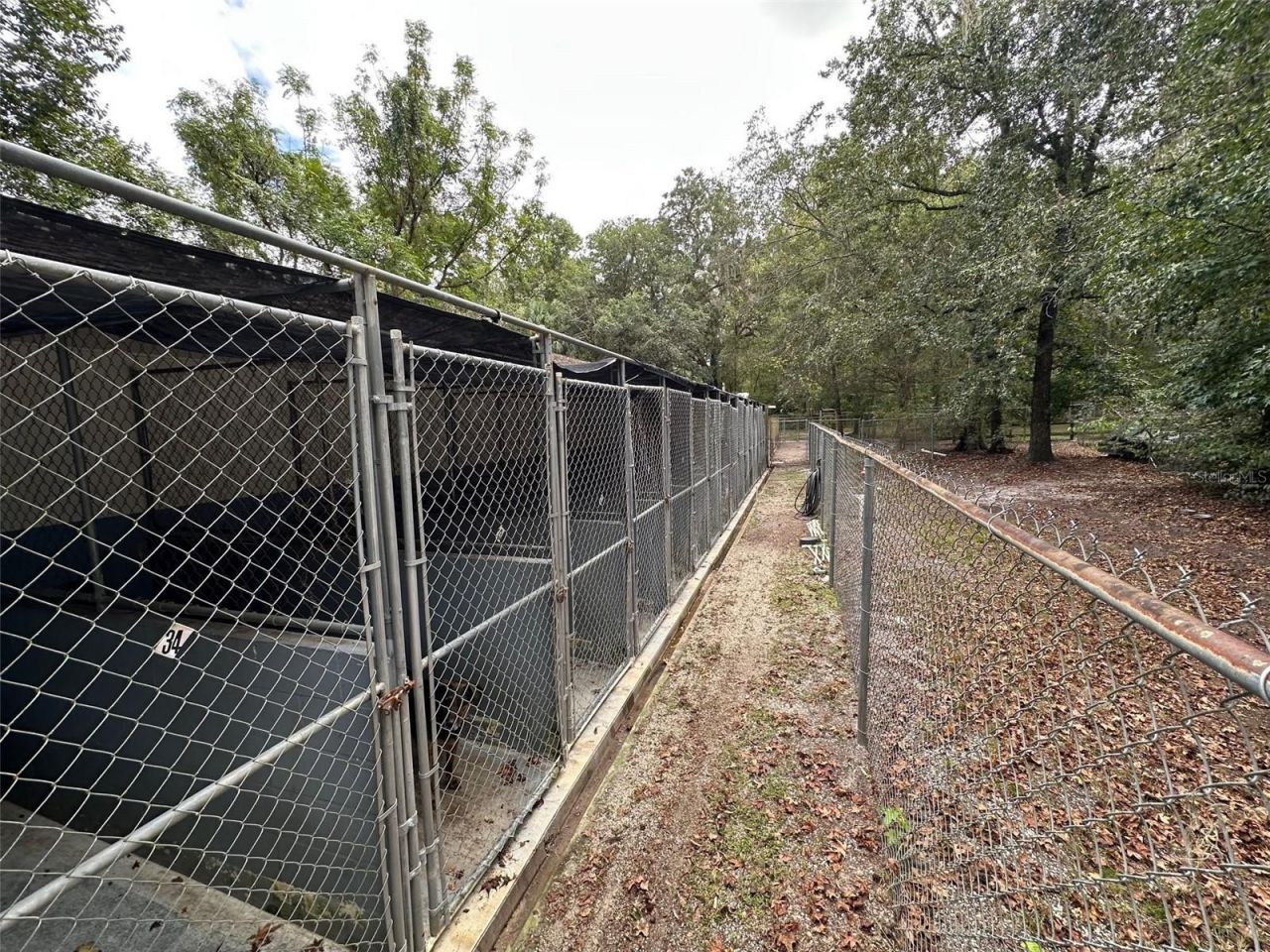 24392 Lanark Road, Brooksville, FL 34601 Photo