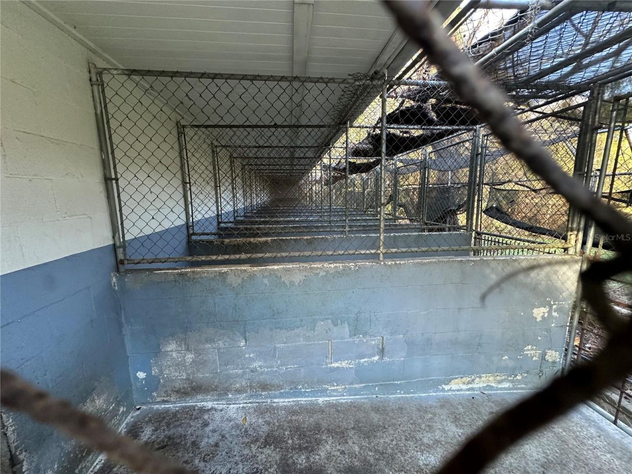 24392 Lanark Road, Brooksville, FL 34601 Photo