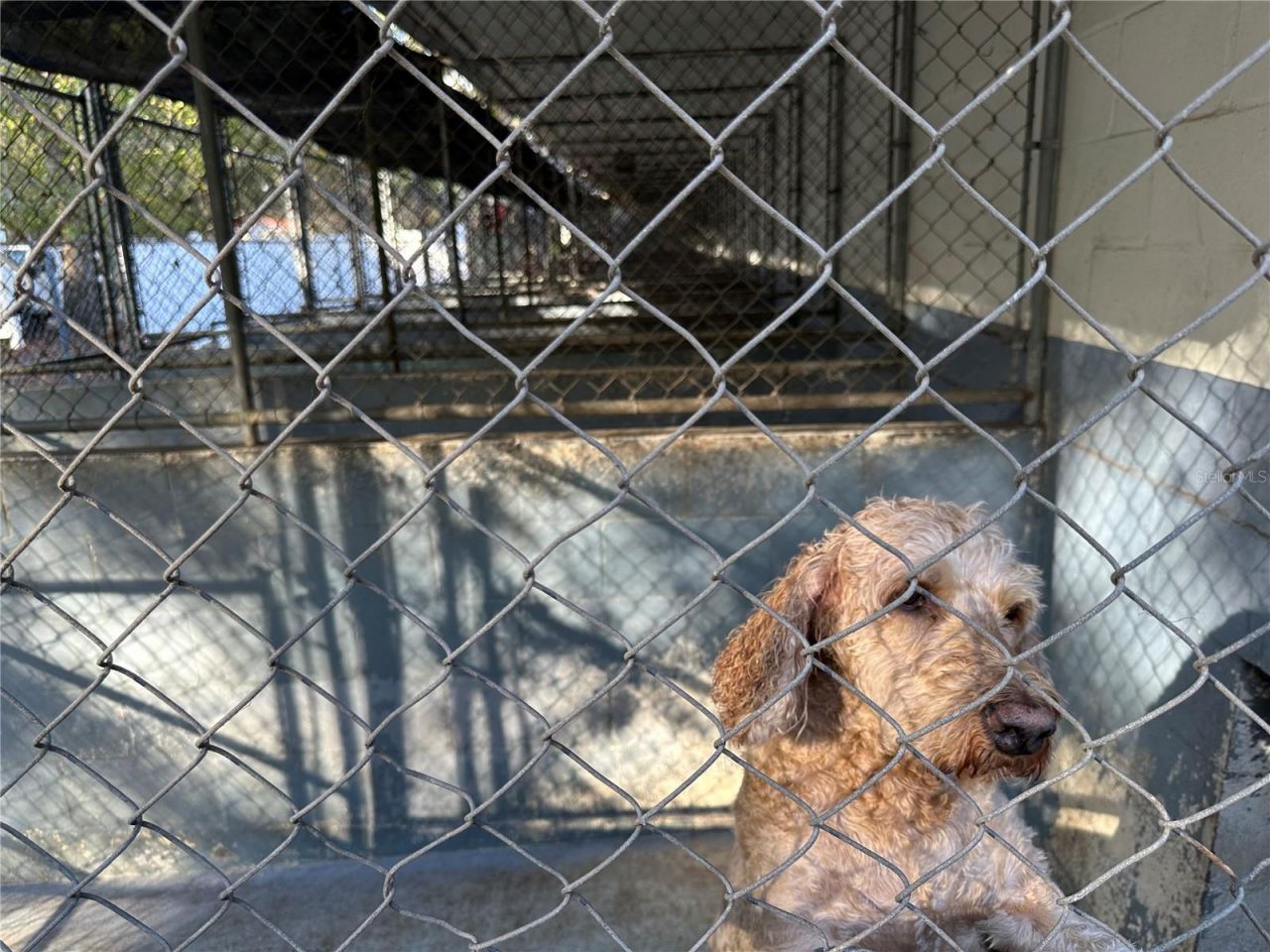 24392 Lanark Road, Brooksville, FL 34601 Photo