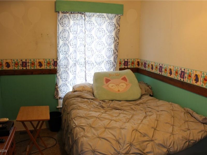 306 E Chestnut Street, Lisbon, OH 44432 Photo 7