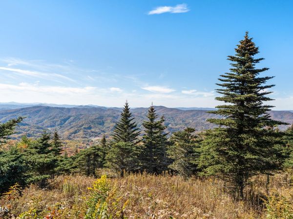 V6 Sun Shine Nvno, Trade, TN 37691