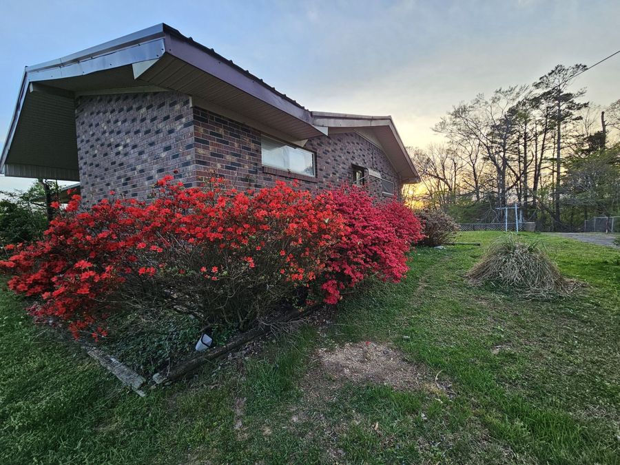 Property Image 40