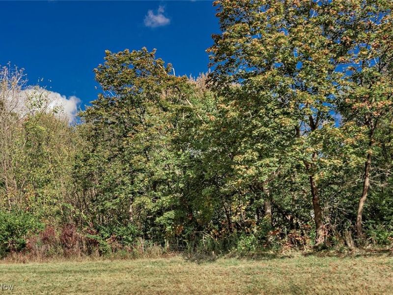 V/L Schady Road, Olmsted Township, OH 44138 Photo 1
