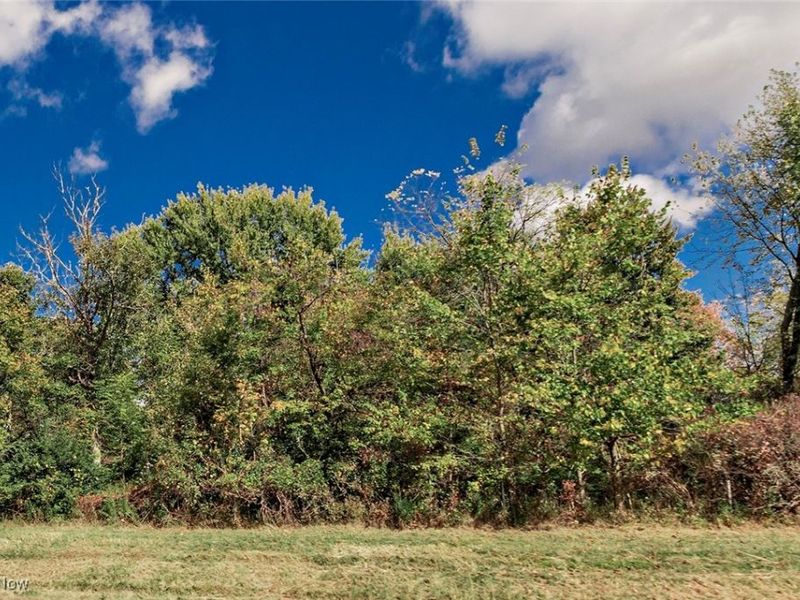 V/L Schady Road, Olmsted Township, OH 44138 Photo 2