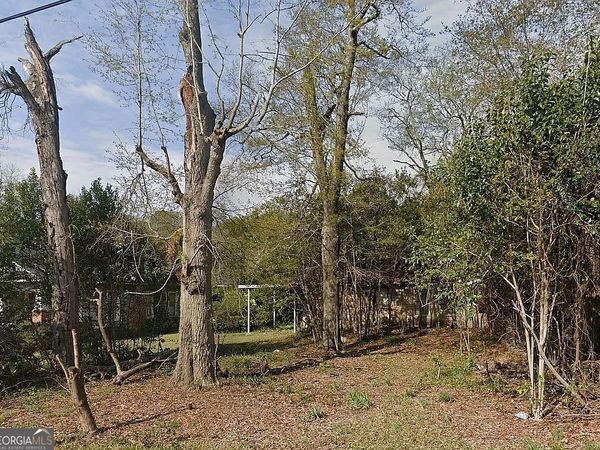 1055 Lamont Street, Macon, GA 31204