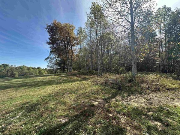 Briar Ridge Lane, Ellamore, WV 26267