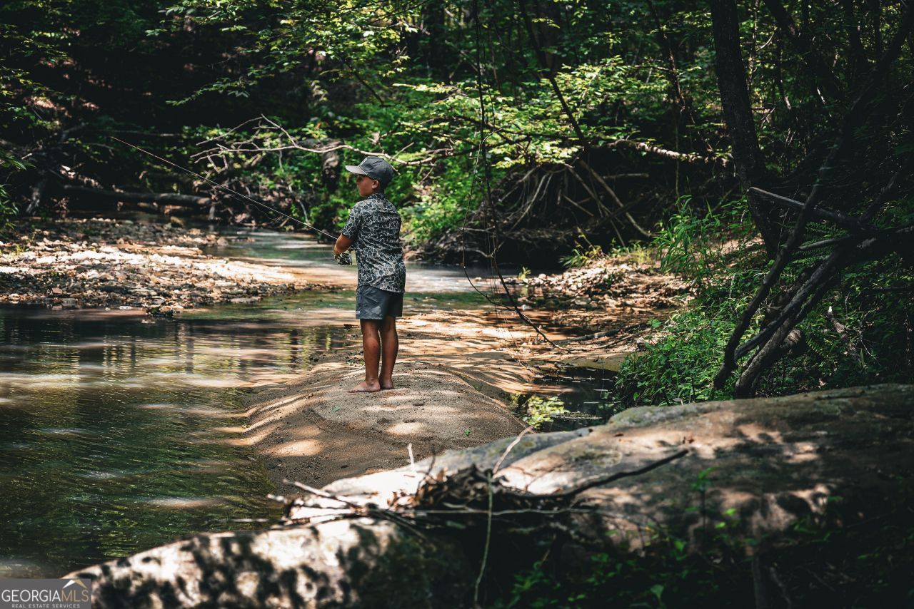 0 County Line Road, Talbotton, GA 31827 Main Photo