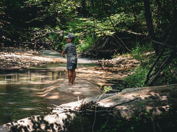 0 County Line Road, Talbotton, GA 31827