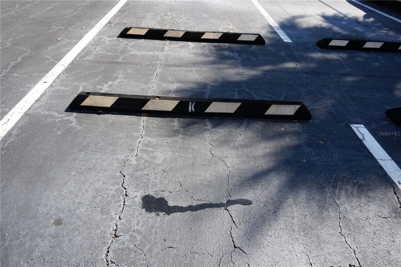 3753 46th Avenue S, Unit 7, Saint Petersburg, FL 33711 Photo