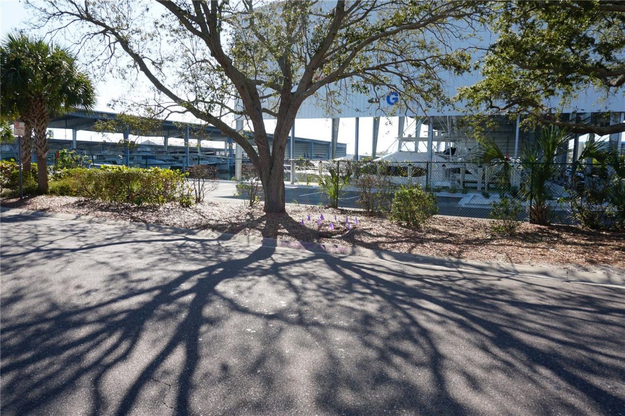 3753 46th Avenue S, Unit 7, Saint Petersburg, FL 33711 Photo