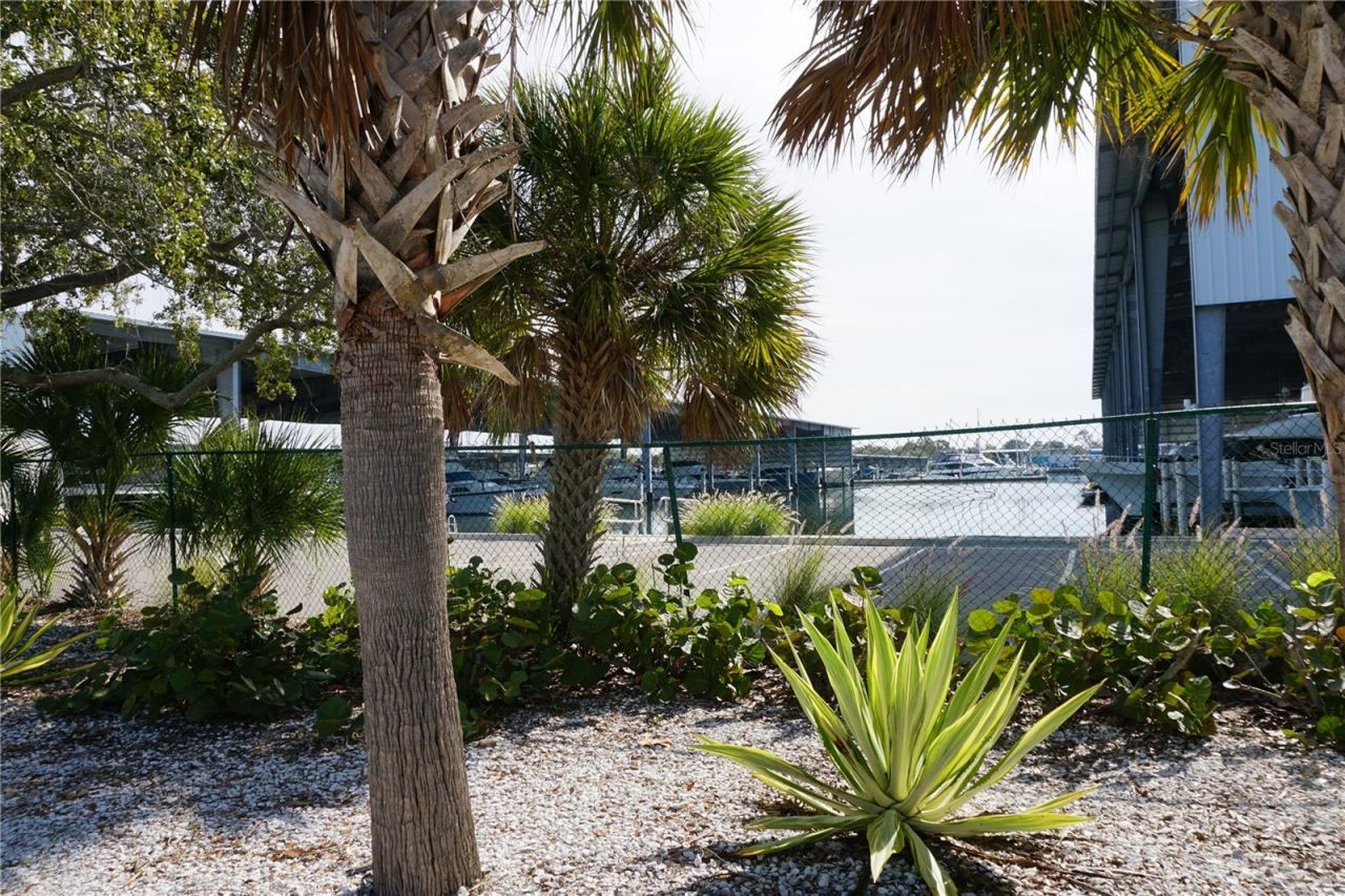 3753 46th Avenue S, Unit 7, Saint Petersburg, FL 33711 Photo