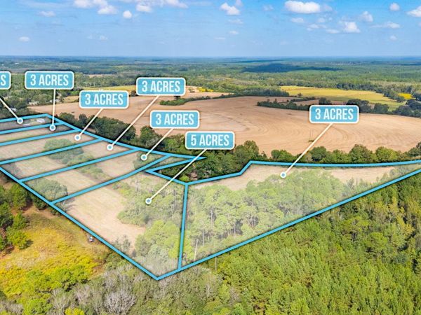 3 Acre -C Prescott Rd, Florala, AL 36442