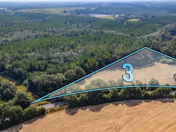 3 Acre -E Prescott Rd, Florala, AL 36442