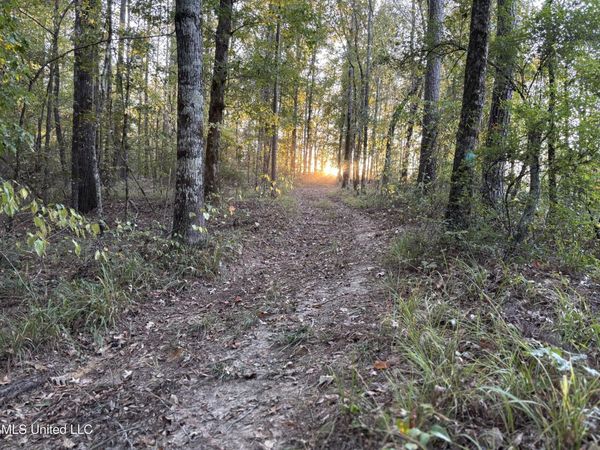 00 Simpson Road, Pickens, MS 39146