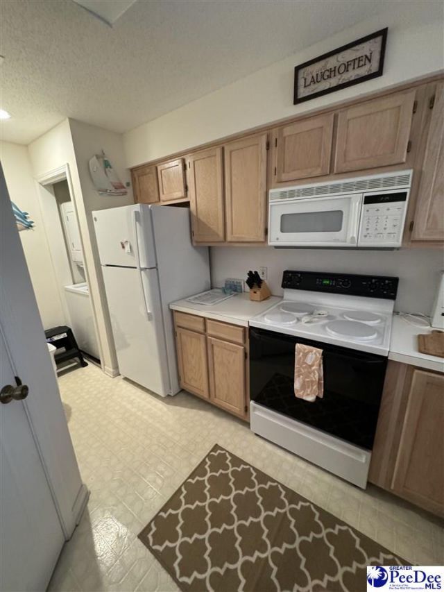 1900 Duffy Street Tilghman Shores J4 Photo 5