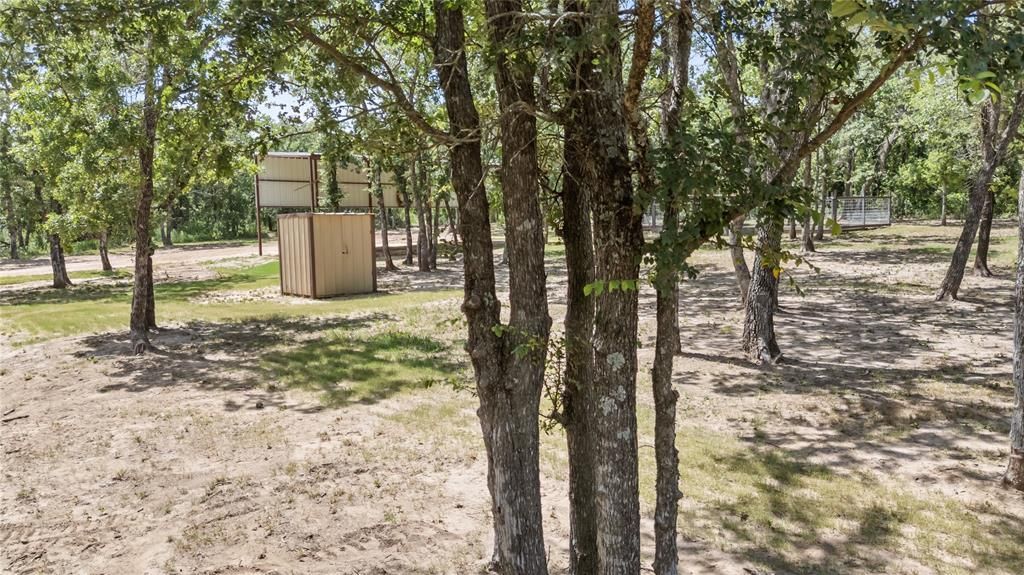 2139 Two Bush Road, Perrin, TX 76487 Main Photo