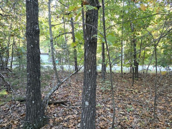 Nioka Drive, Cherokee Village, AR 72529