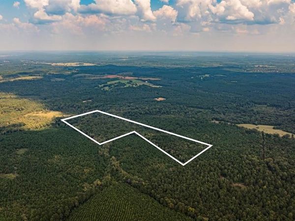 TBD County Road 1582, Avinger, TX 75630