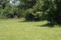 0 Bolt Drive photo 4