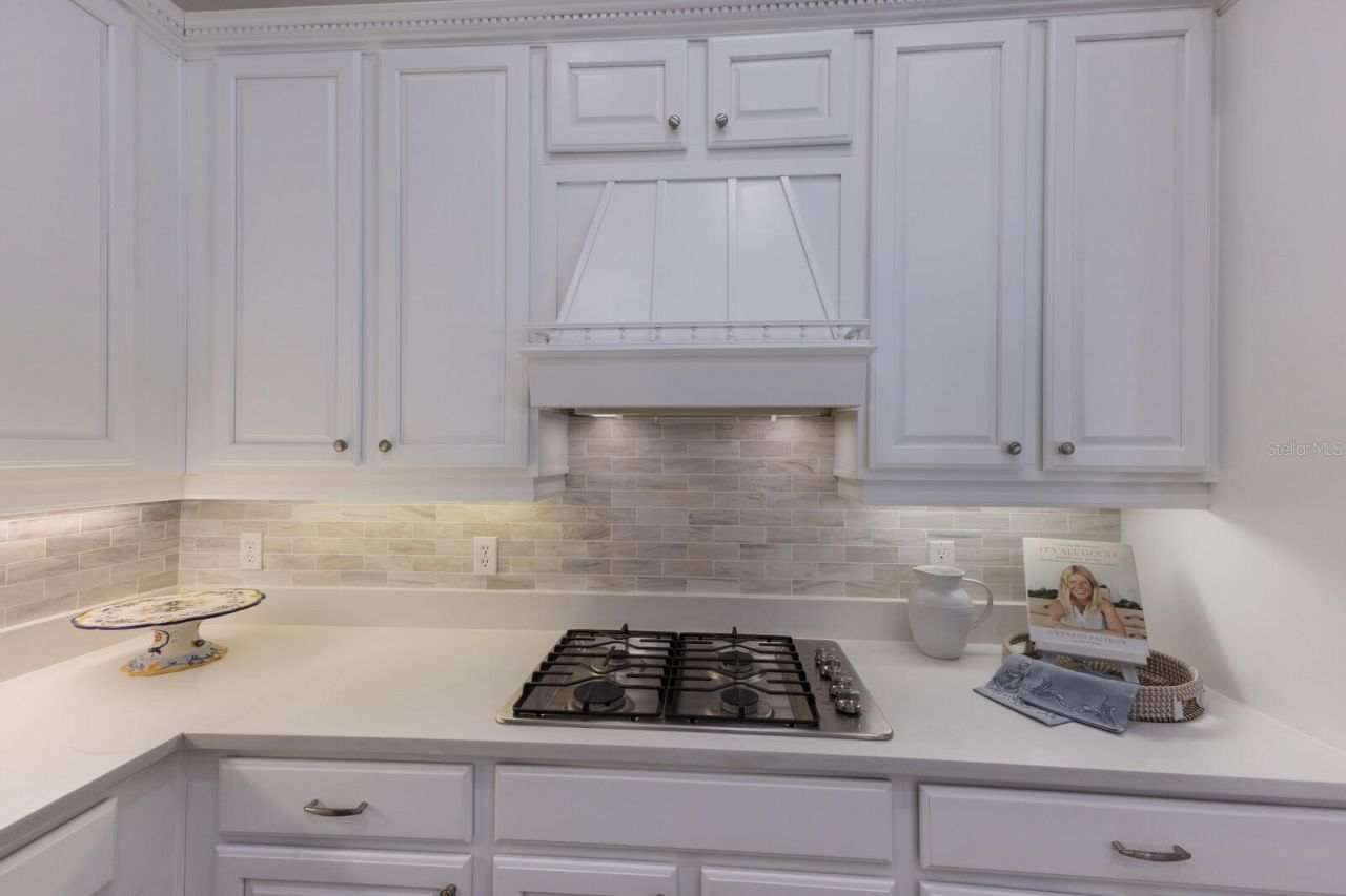 12838 Daisy Place, Bradenton, FL 34212 Photo