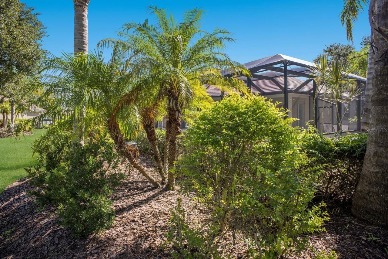 12838 Daisy Place, Bradenton, FL 34212 Photo