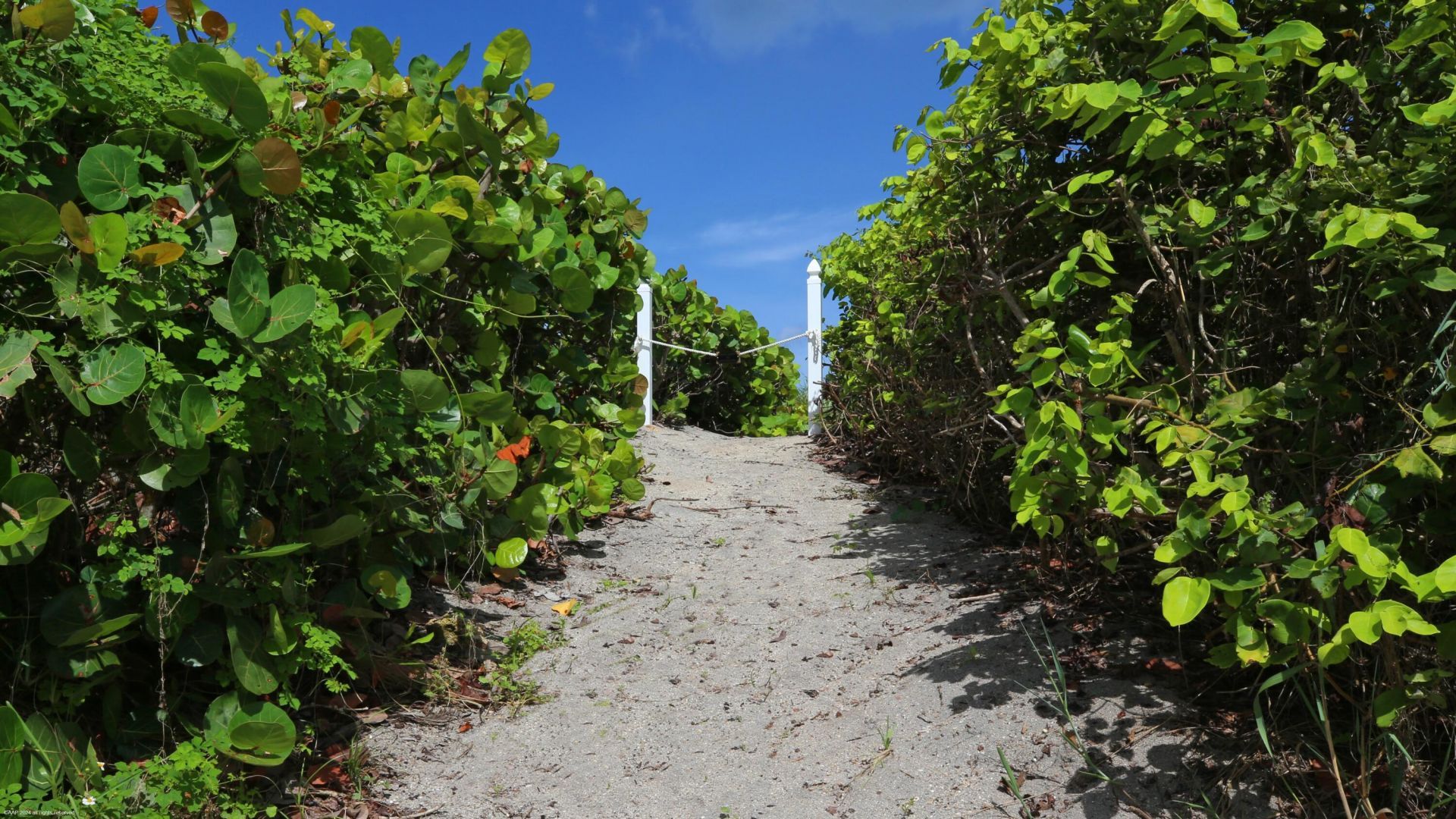 162 N Beach Road, Jupiter Island, FL 33455 Photo