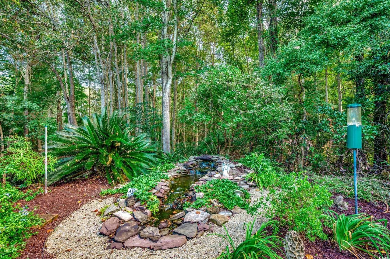 242 Hyacinth Loop Photo 33