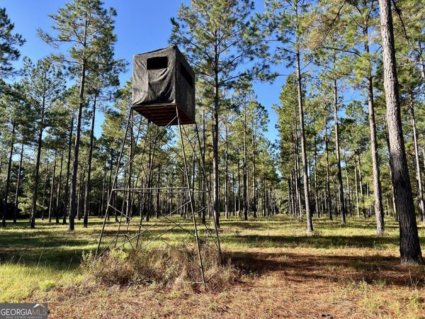 0 Lower River Road, Hawkinsville, GA 31036