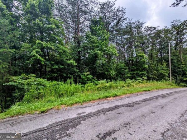 LOT32 Lakeview Drive, Turtletown, TN 37391
