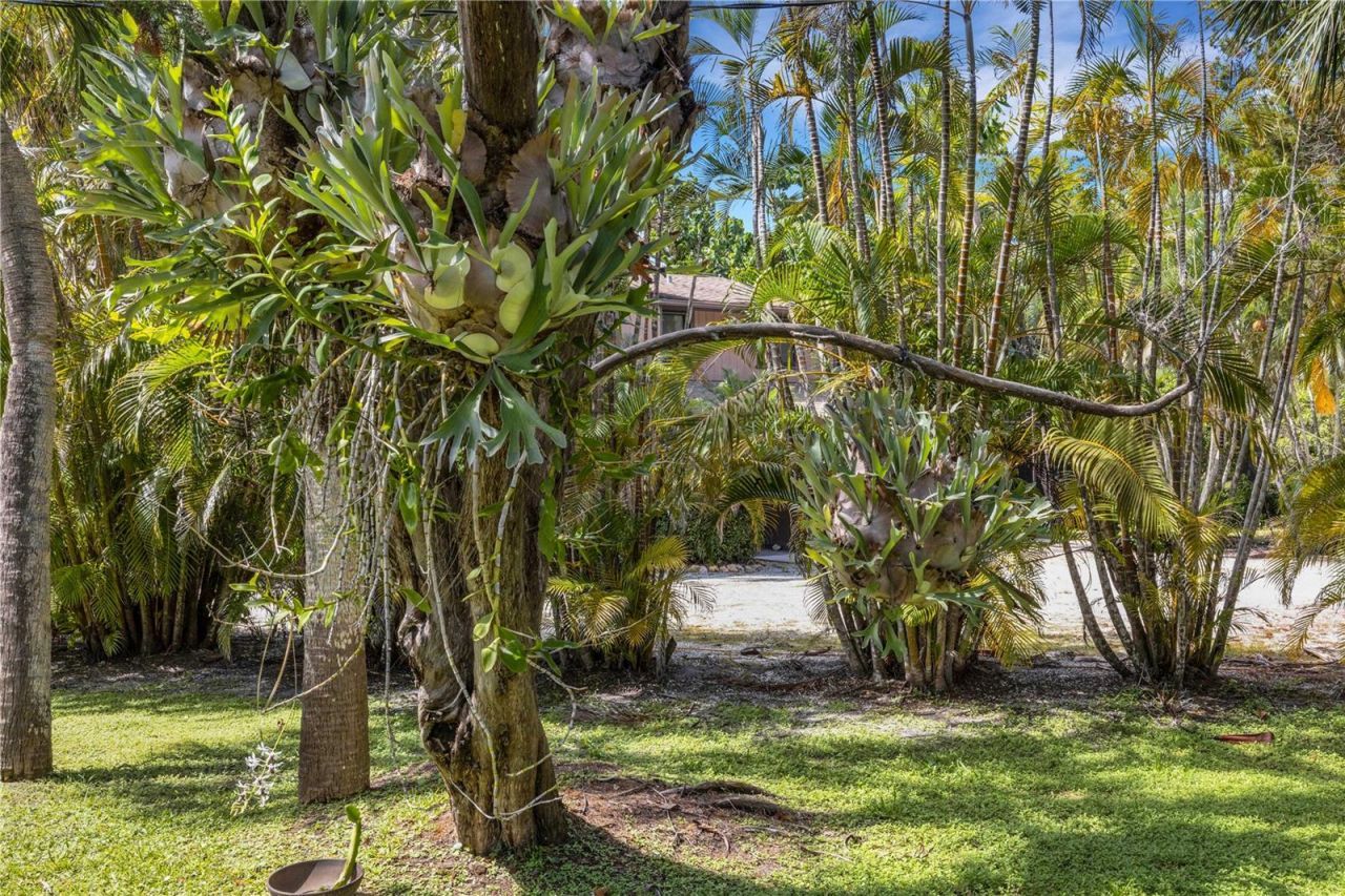 62 Sandy Hook Road S, Sarasota, FL 34242 Photo