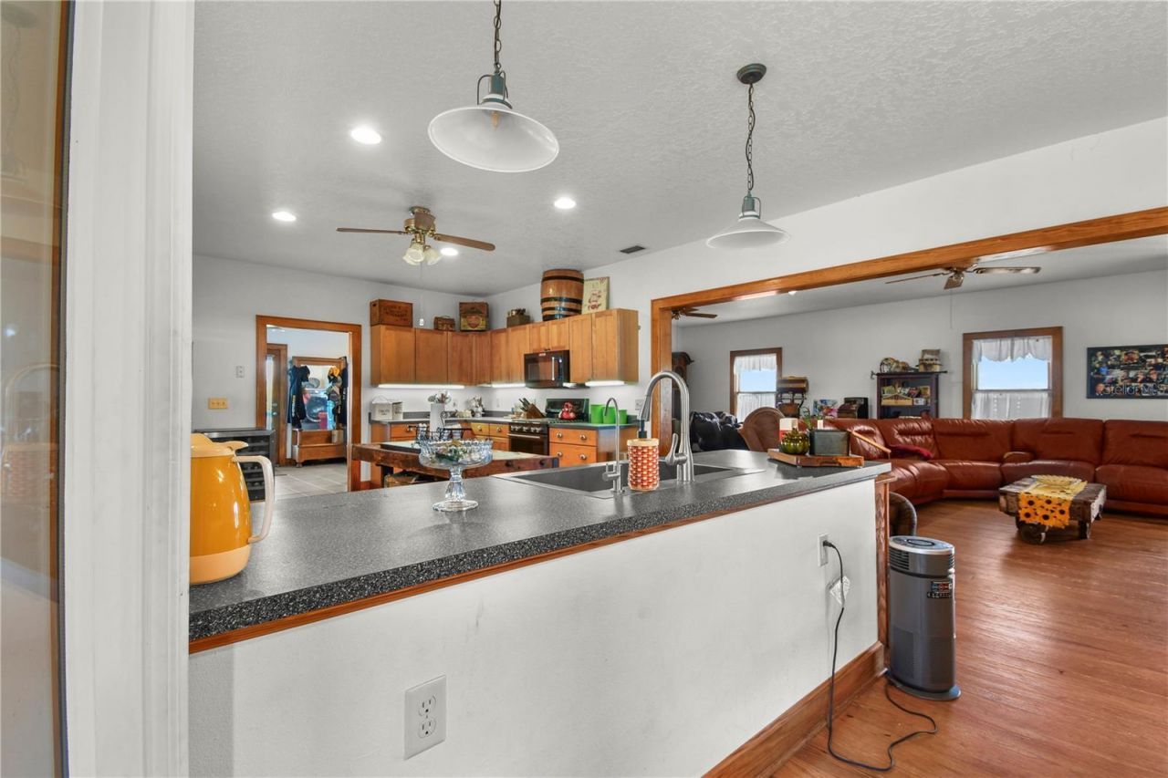 10807 NW Lily County Line Road, Ona, FL 33865 Photo