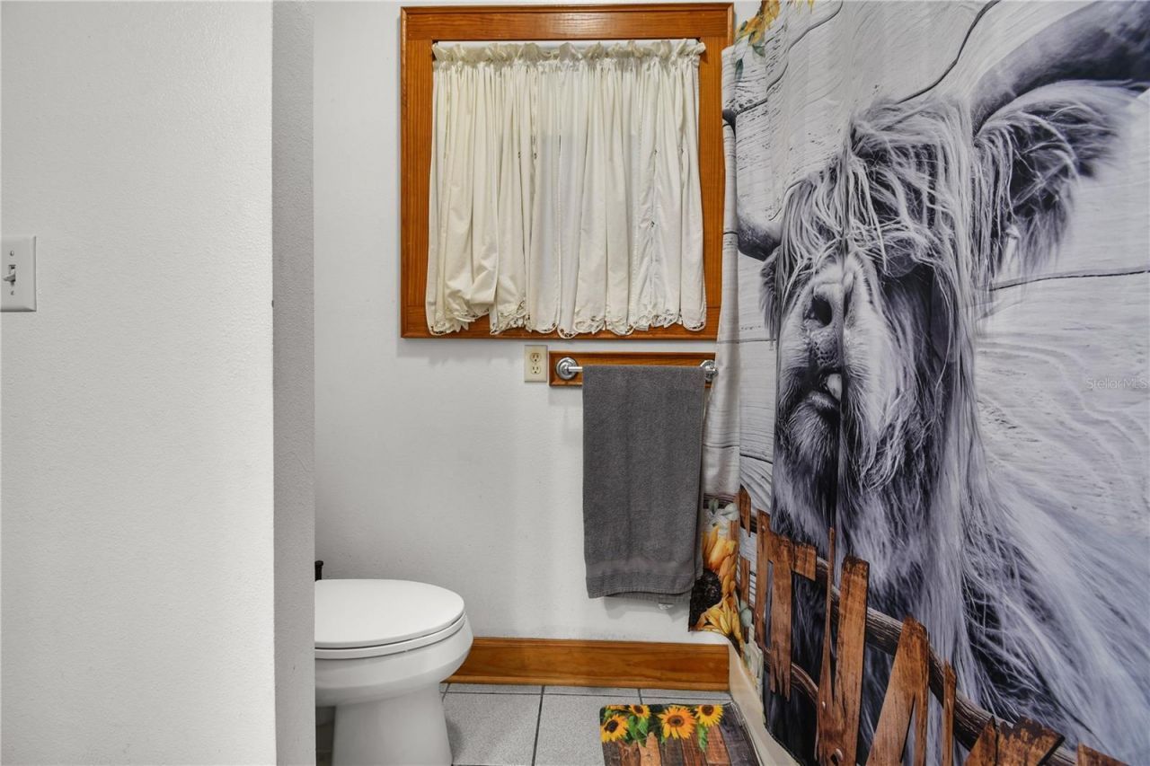 10807 NW Lily County Line Road, Ona, FL 33865 Photo