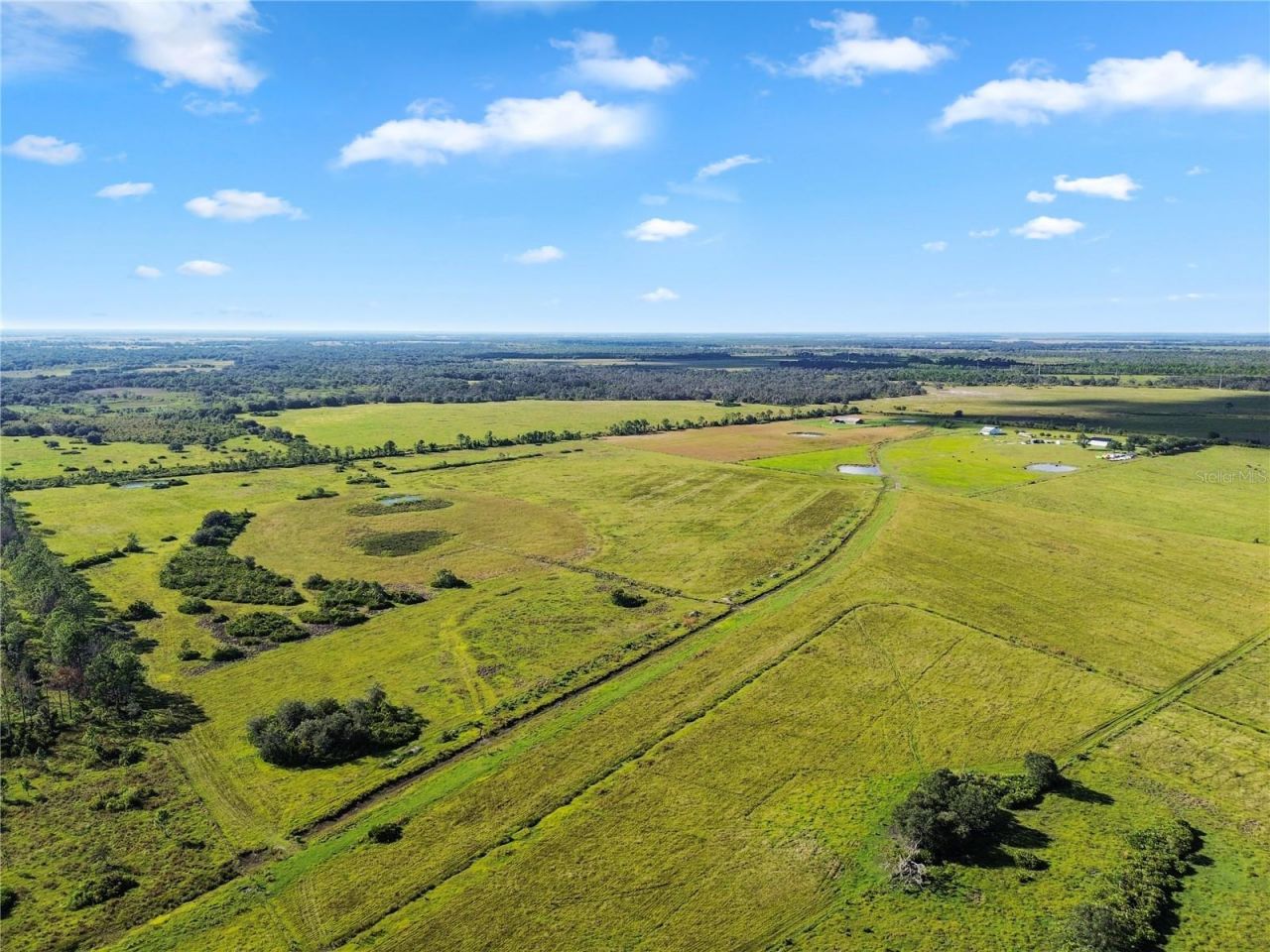10807 NW Lily County Line Road, Ona, FL 33865 Photo