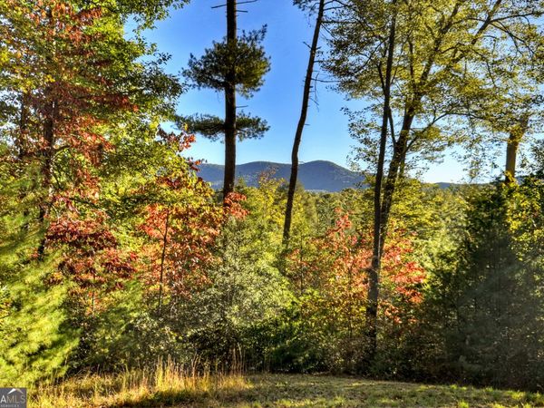 12.64 AC Harrison Sluder Road, Ellijay, GA 30540