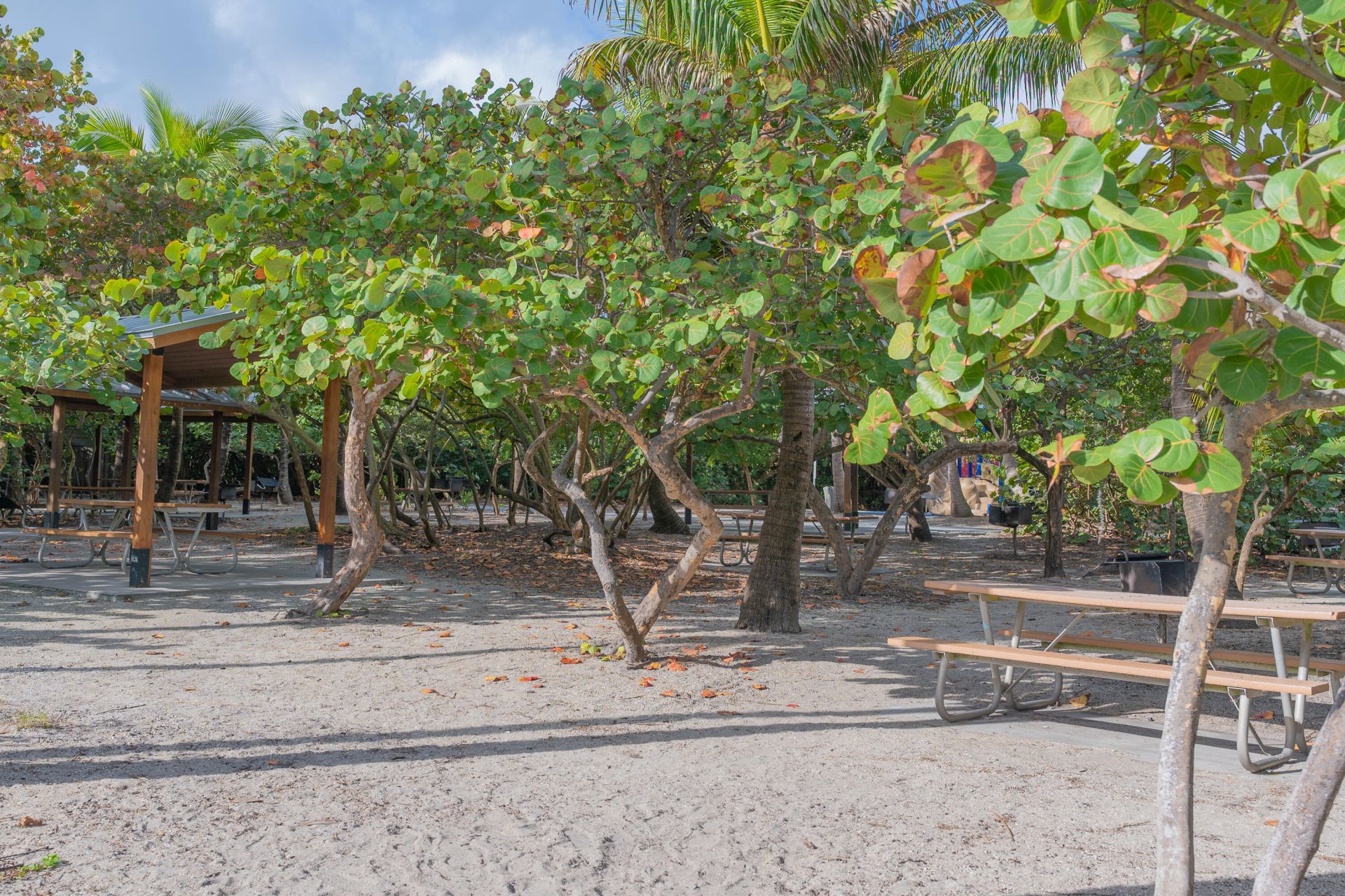 1200 S Ocean Boulevard, Unit 4 F, Boca Raton, FL 33432 Photo