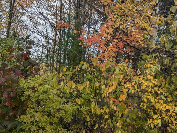 19-04 Acorn Lane, Freedom, ME 04941