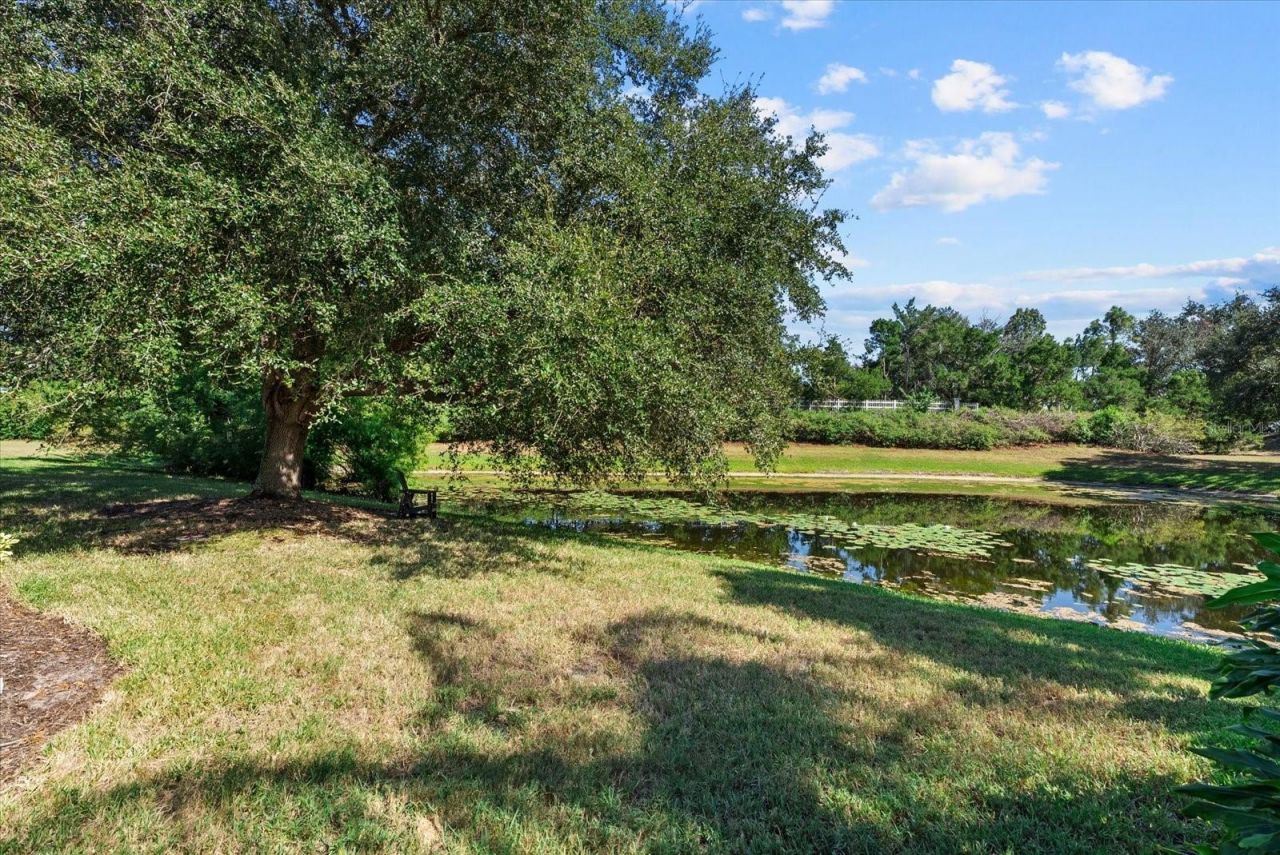 13876 Siena Loop, Lakewood Ranch, FL 34202 Photo