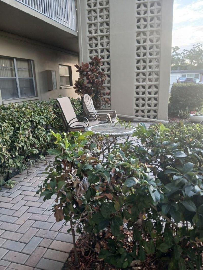 1000 49th Street N, Unit 311, Saint Petersburg, FL 33710 Photo