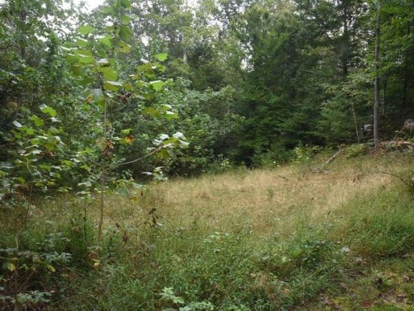 0 Raintree RD, Roanoke, VA 24018