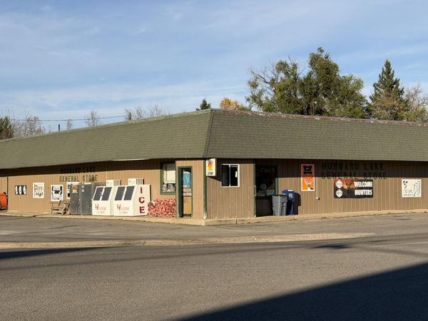 6914 W Hubert Road, Hubbard Lake, MI 49747